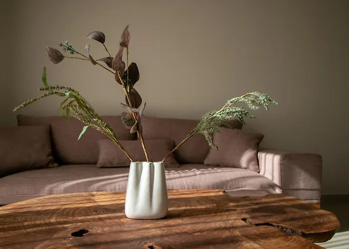 فيلة Aelia آغيوس غيوريوس باغون